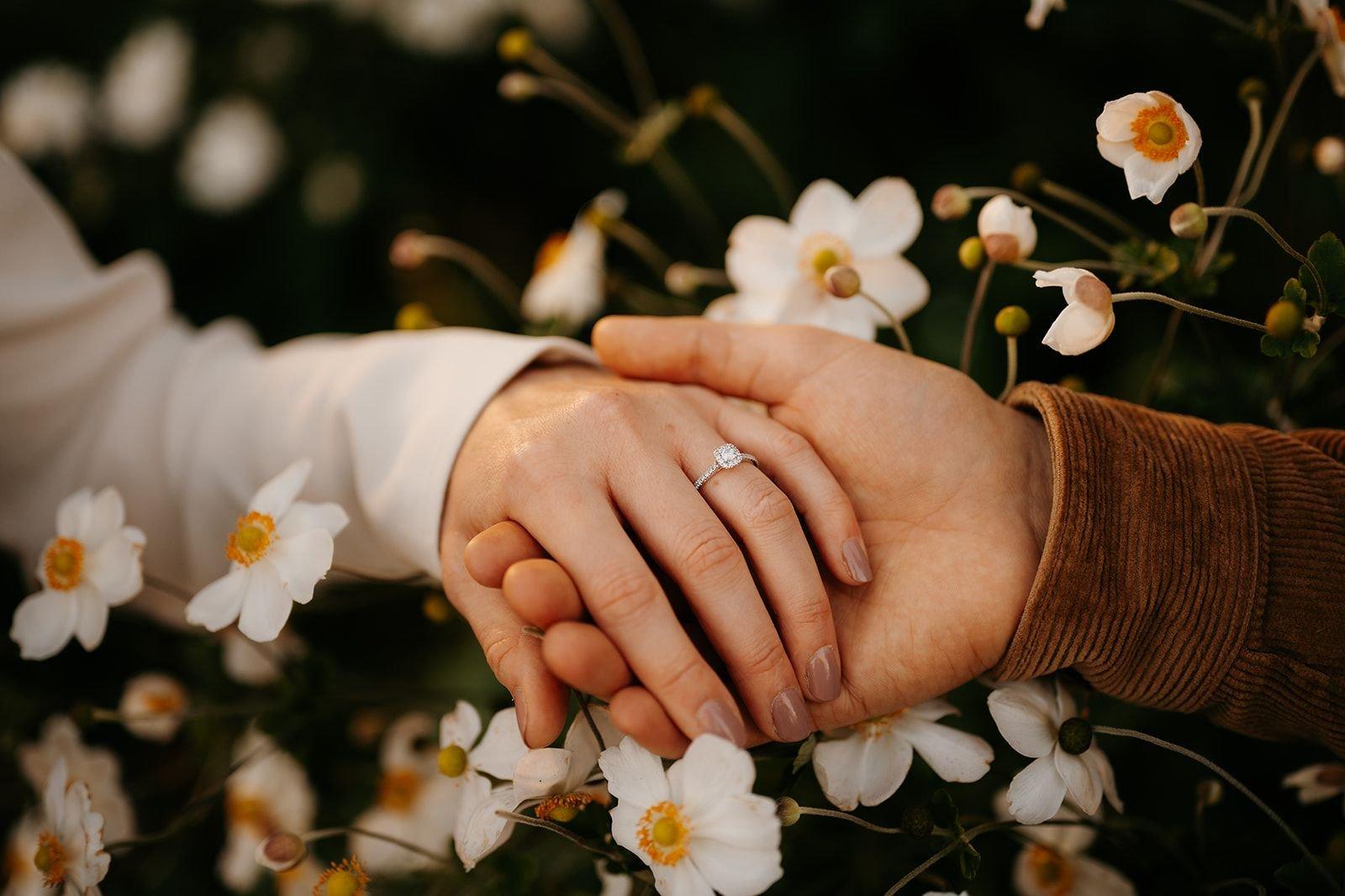 carousel-hero-element image-7