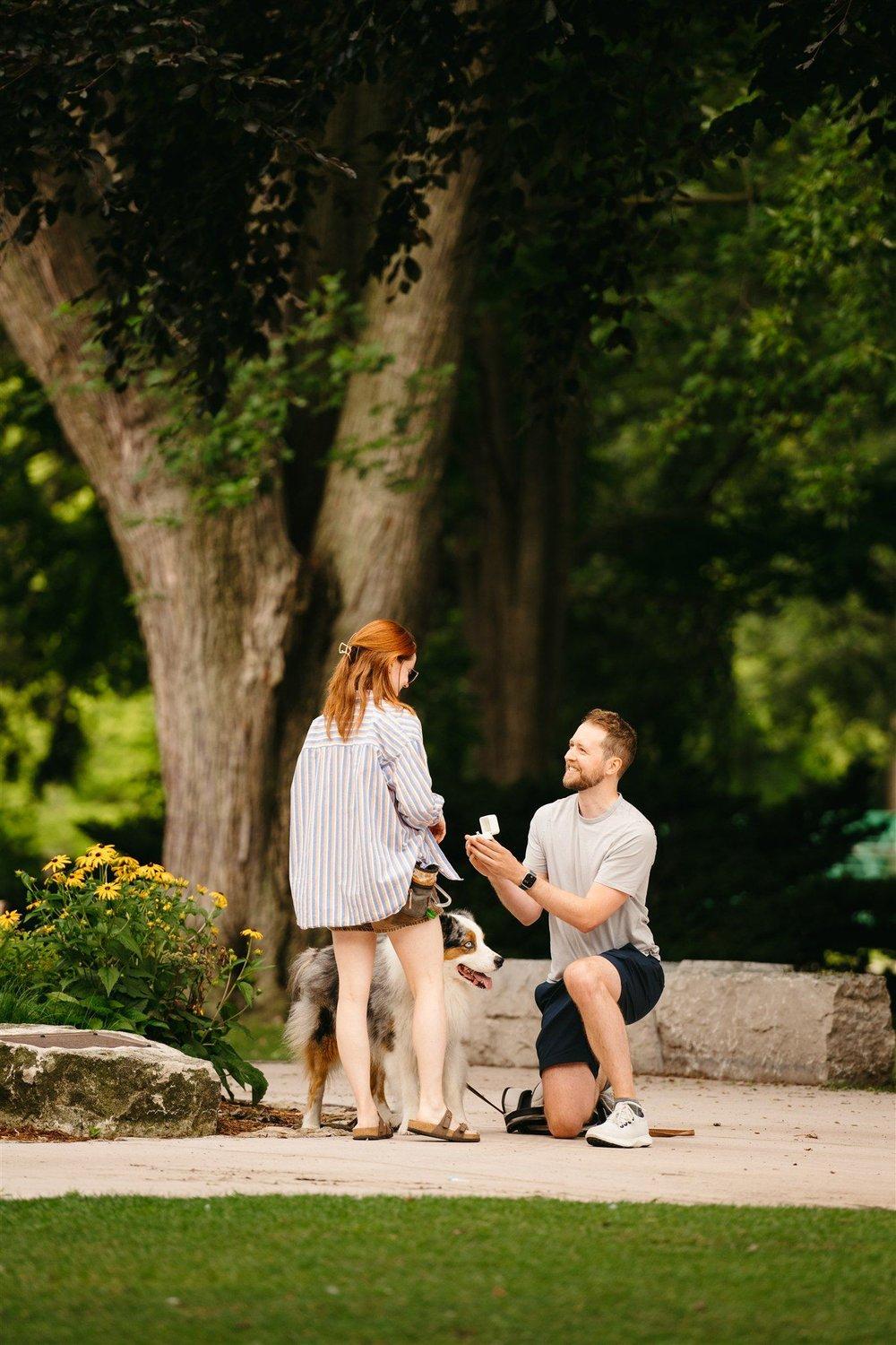 carousel-hero-element image-9