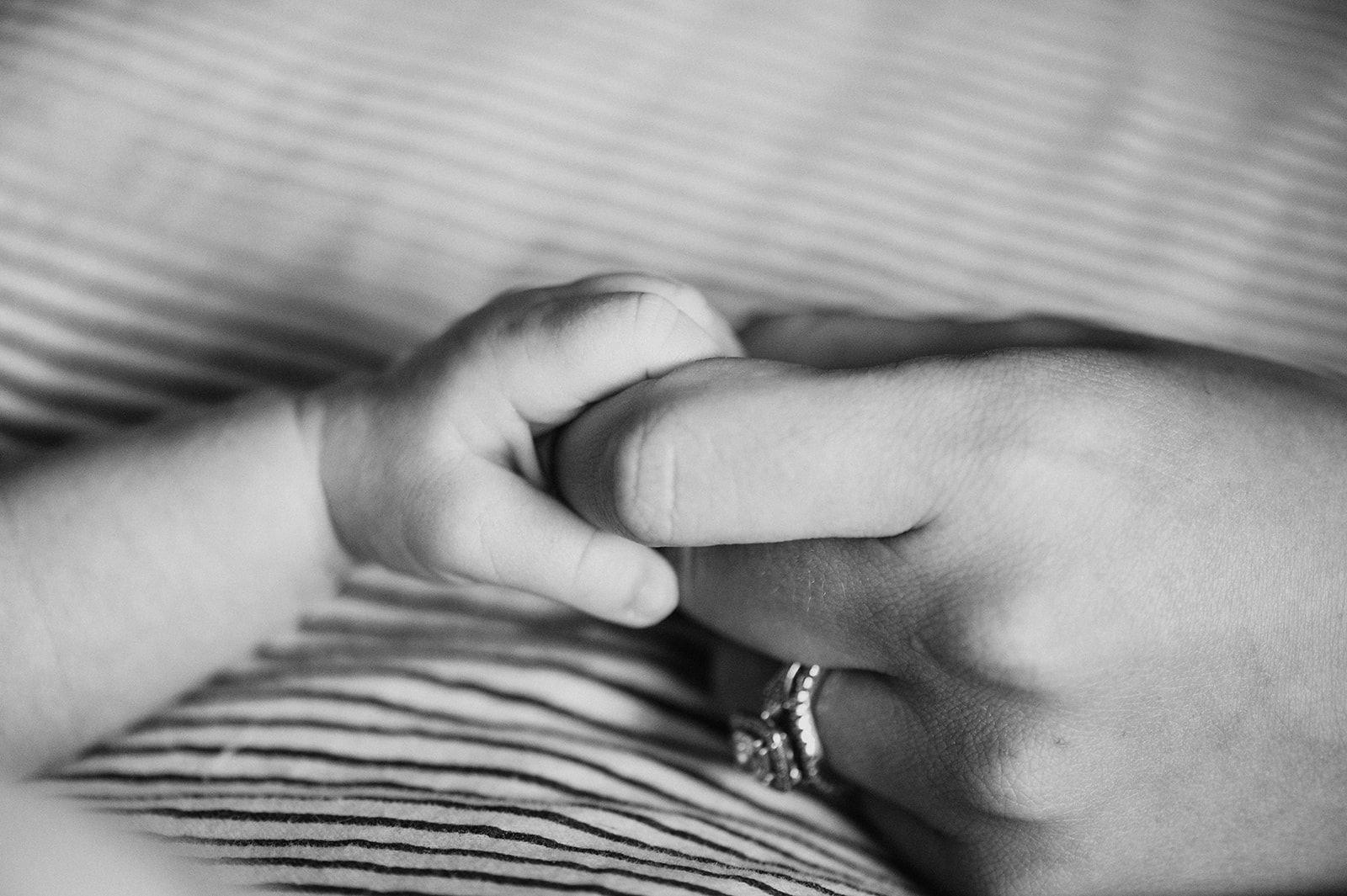 carousel-hero-element image-7