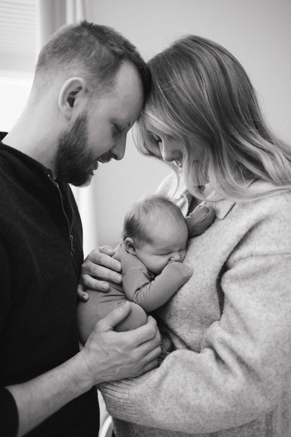 carousel-hero-element image-12